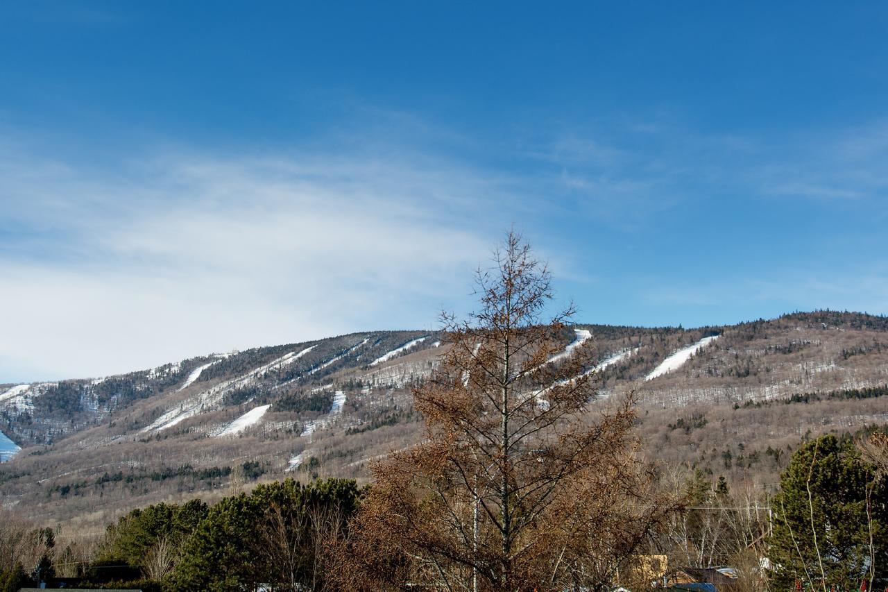 Le Vallon Saint-Ferréol-les-Neiges Extérieur photo